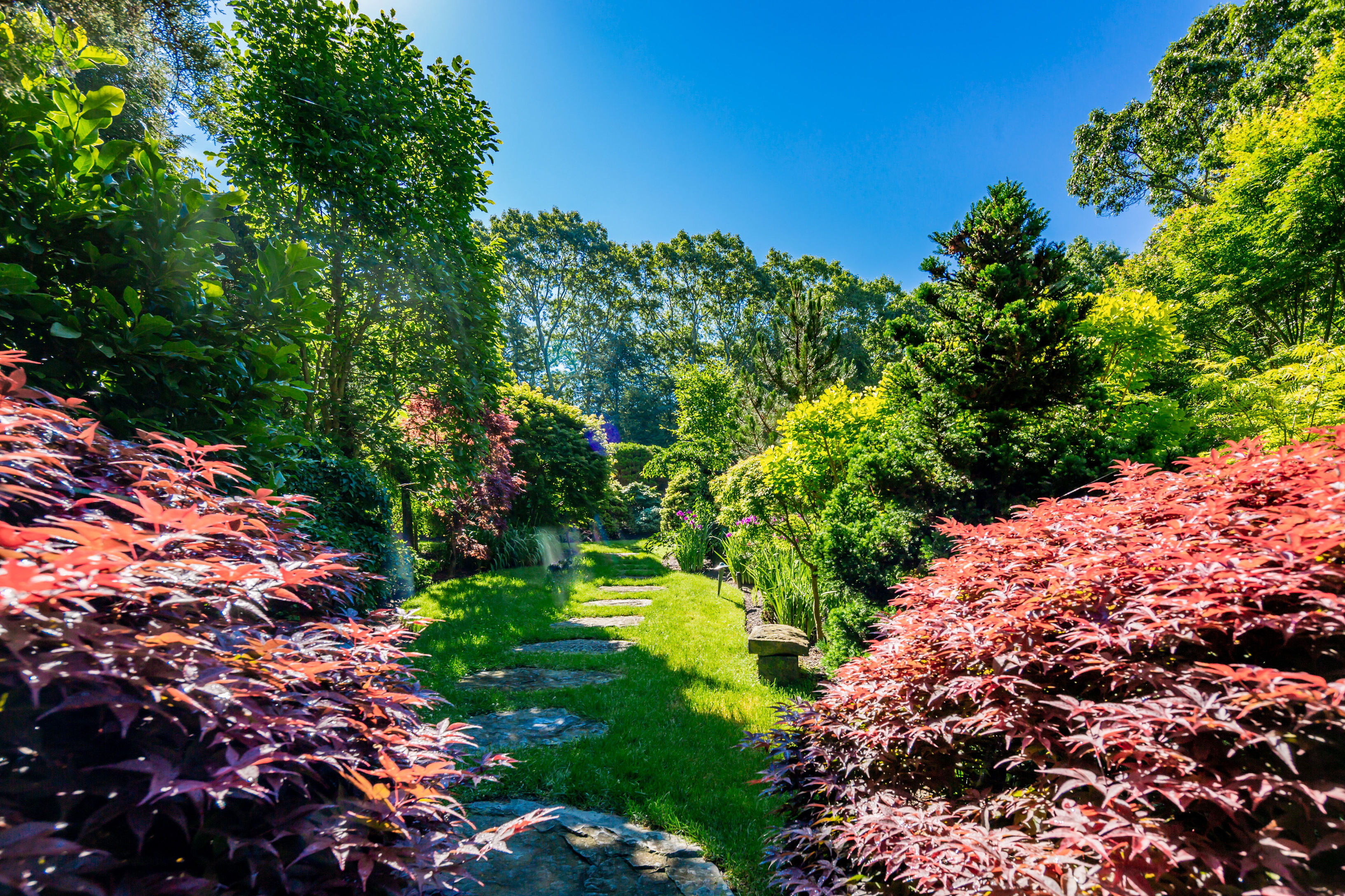 210 Treescape Dr in East Hampton Out East